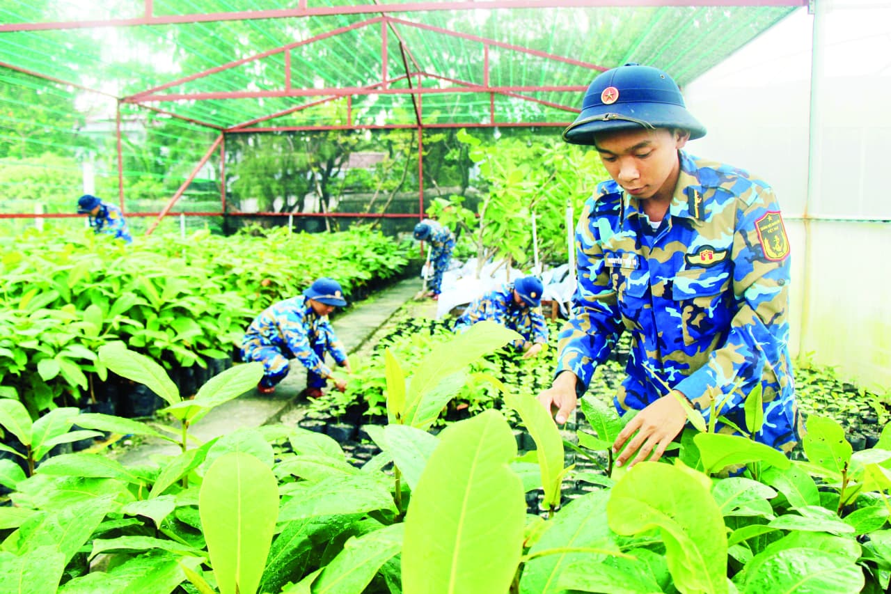 Bền bỉ xanh hóa Trường Sa