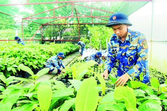 Bền bỉ xanh hóa Trường Sa