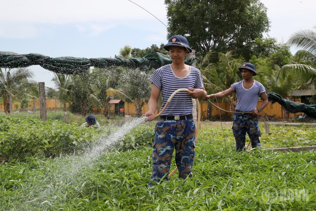 Màu xanh trên vùng cát trắng