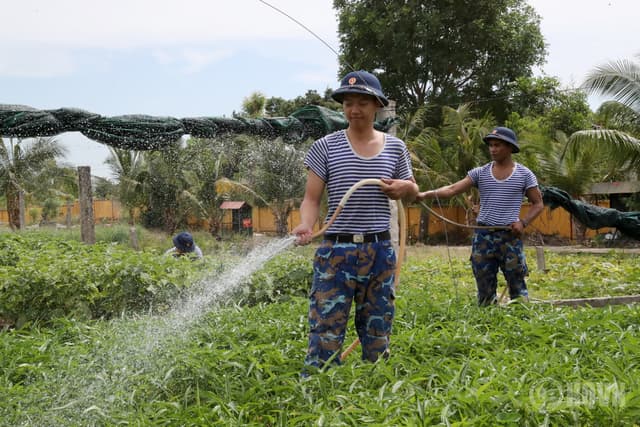 Màu xanh trên vùng cát trắng