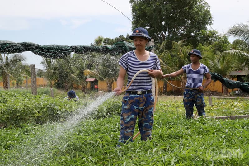 Màu xanh trên vùng cát trắng