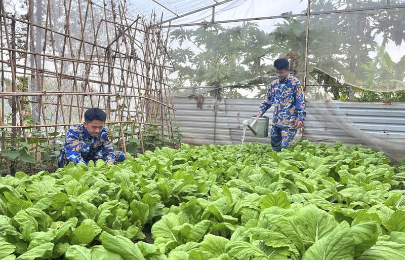 Vượt khó tăng gia trên đảo Hòn Khoai