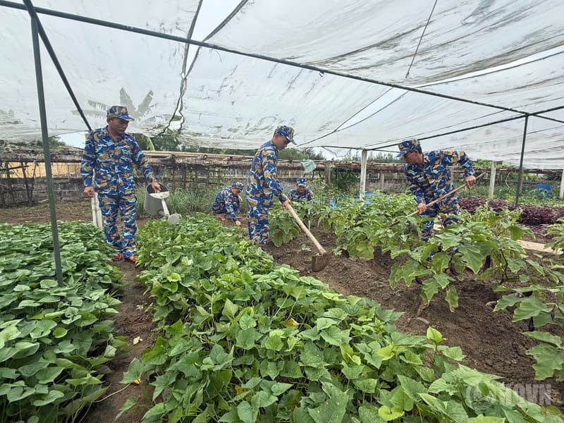 Gieo màu xanh trên nền cát trắng