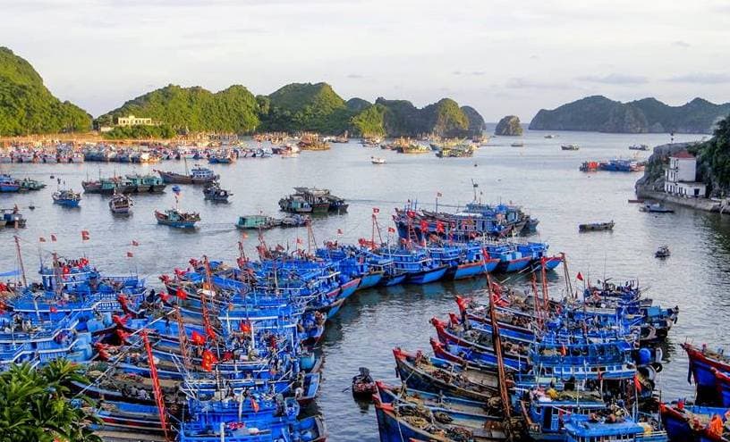 Trách nhiệm của người sử dụng tần số
