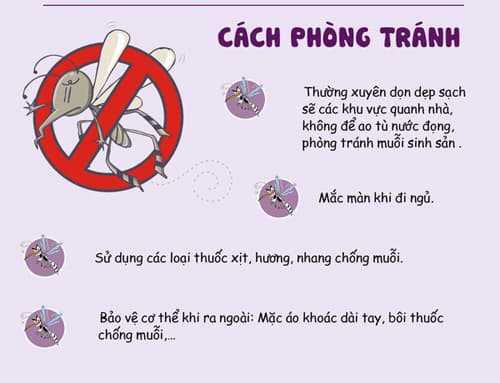 Cách phòng bệnh Sốt xuất huyết