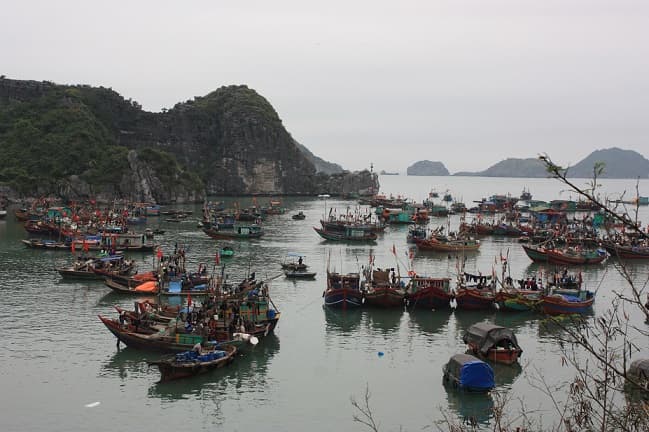 Cách neo đậu tàu cá trong khu tránh trú bão
