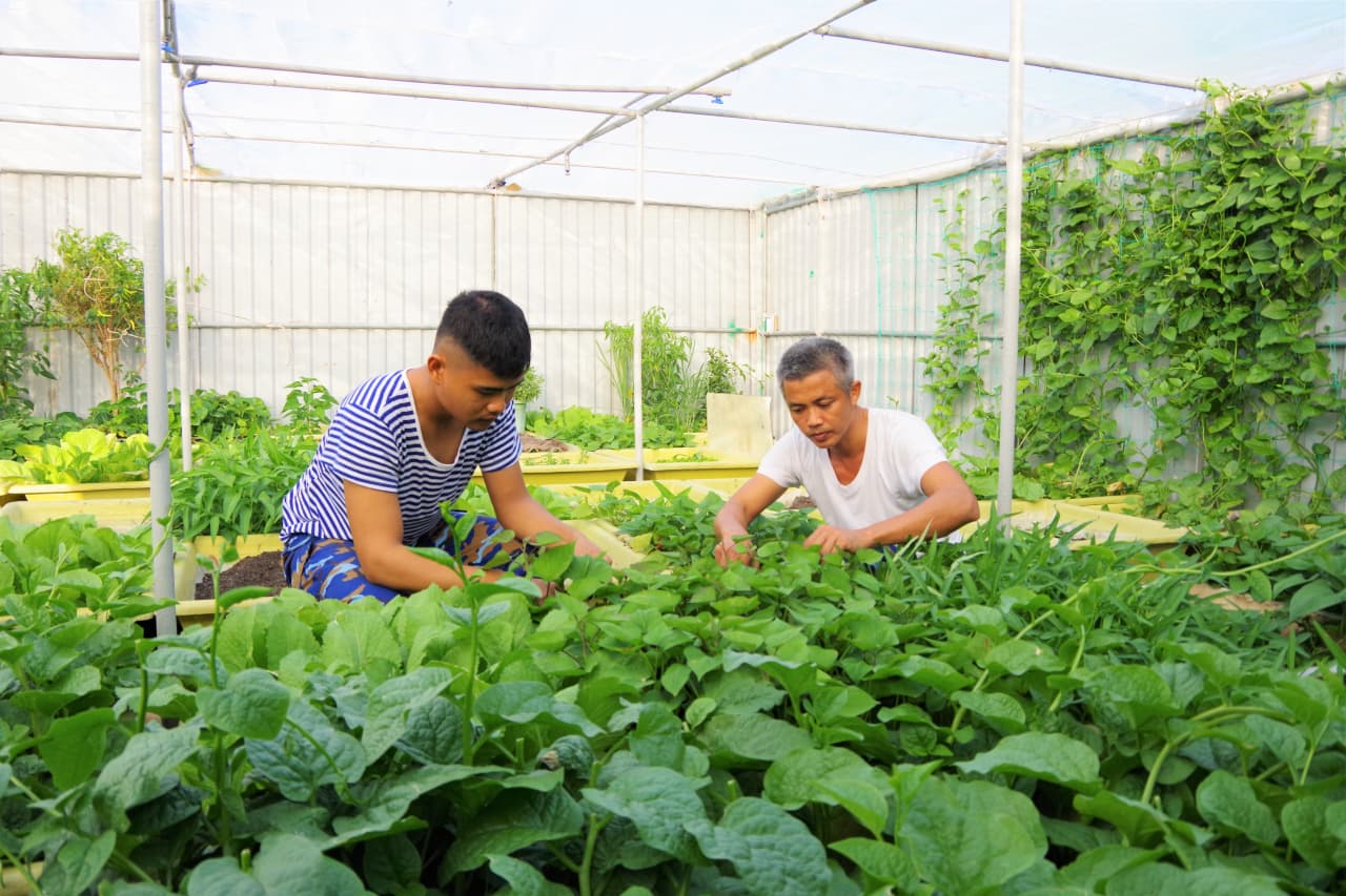 SẮC XANH TRÊN NHÀ GIÀN DK1/10