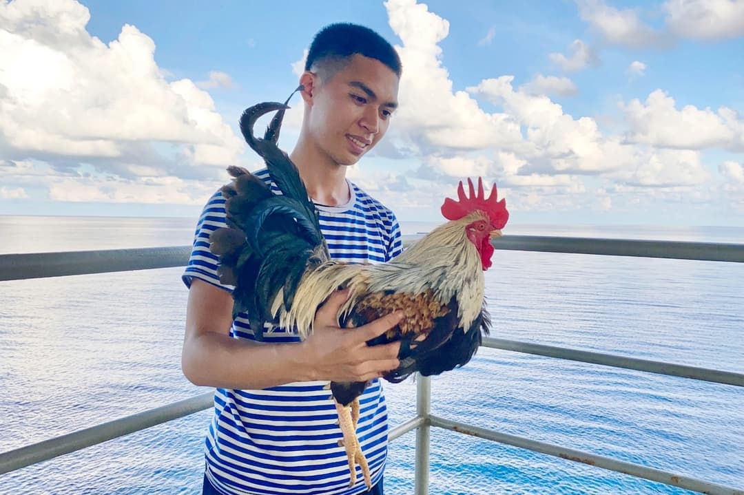 Tiếng gà gáy giữa trùng khơi