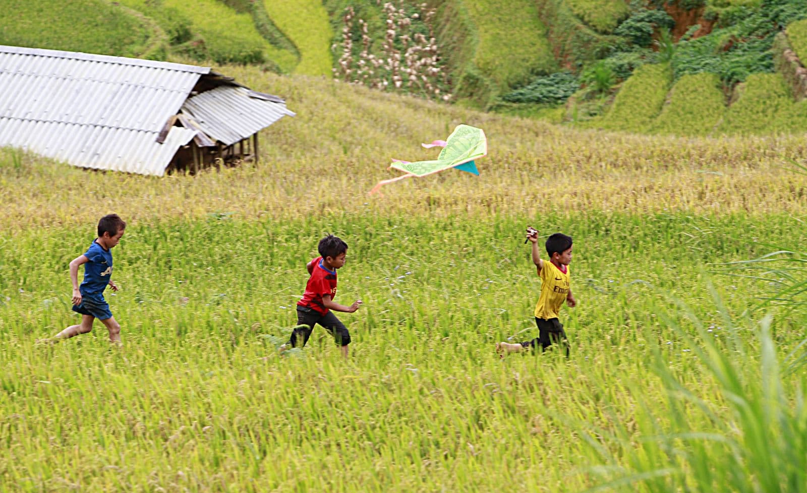Thư gửi em nơi miền sơn cước