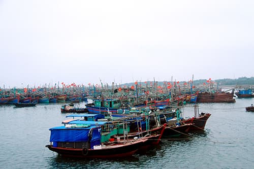 Nơi trú đậu an toàn cho các tàu ngư dân