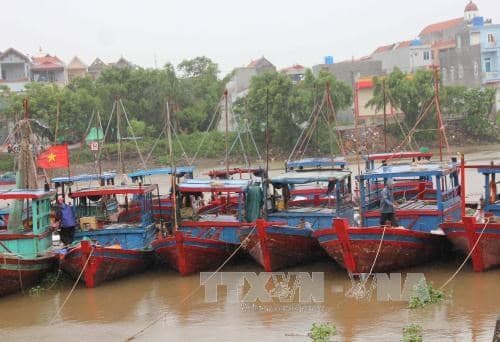 Ứng phó với bão số 3: Hải Phòng, Nam Định di dời dân đến nơi tránh bão an toàn