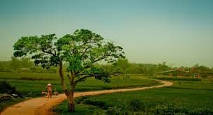 Về nghỉ hưu           