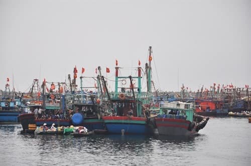 Hiệp định Phân định Vịnh Bắc Bộ và Hiệp định hợp tác nghề cá Việt Nam-Trung Quốc