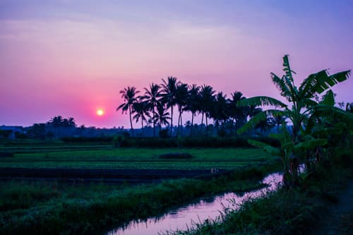 Quê mình sẽ sớm hồi sinh