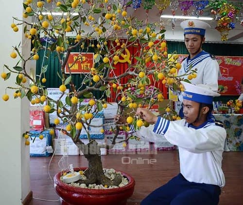 Xuân thắm Trường Sa
