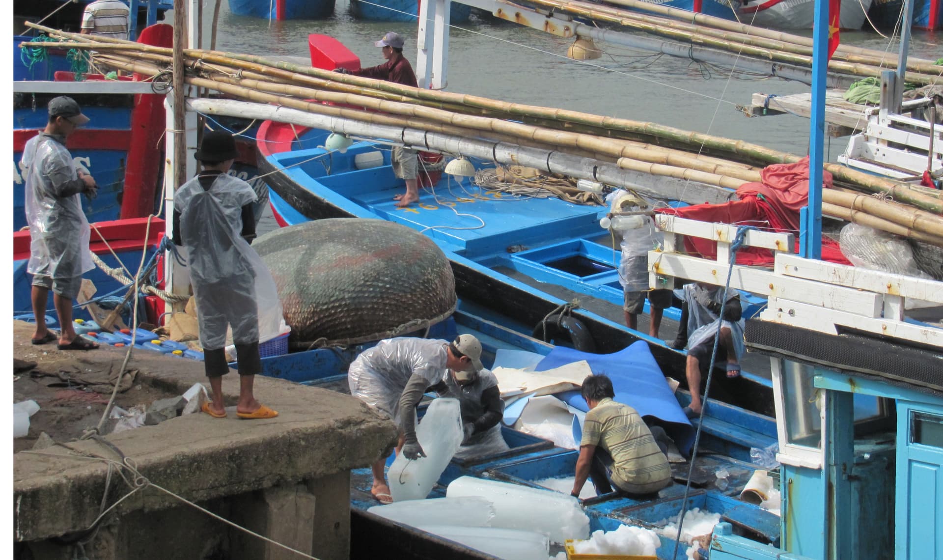 Nỗ lực khơi lạch, đưa hơn 200 tàu cá Phú Yên ra khơi