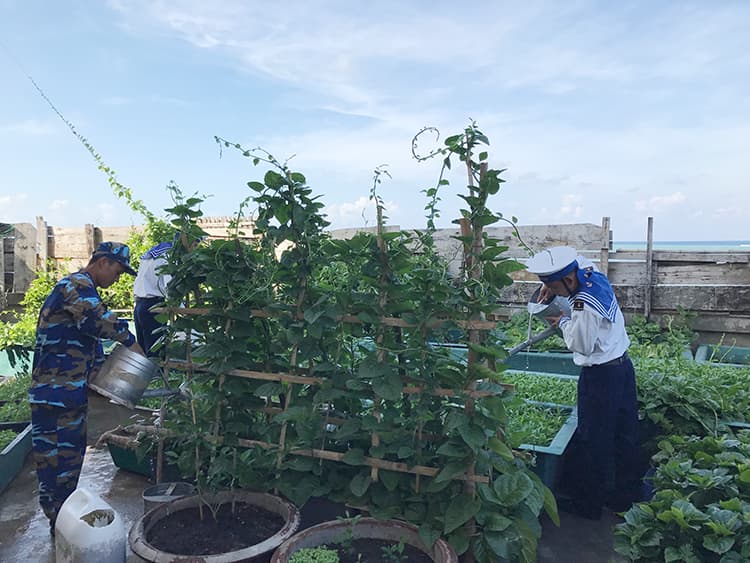 Những điều giản dị trên đảo xa
