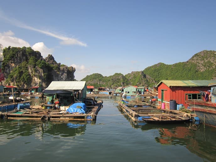Làng chài Cái Bèo-một bảo tàng văn hóa biển