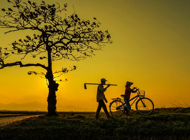 Truyện ngắn: Hạnh phúc giản đơn