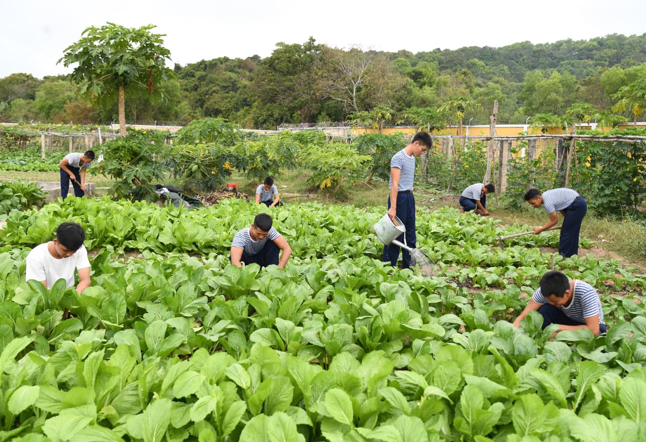 Chủ động bảo đảm thực phẩm tại chỗ