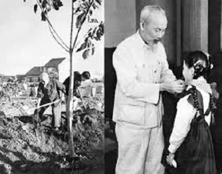 Lời Bác Hồ dạy ngày này năm xưa: “Vì lợi ích mười năm thì phải trồng cây, vì lợi ích trăm năm thì phải trồng người”