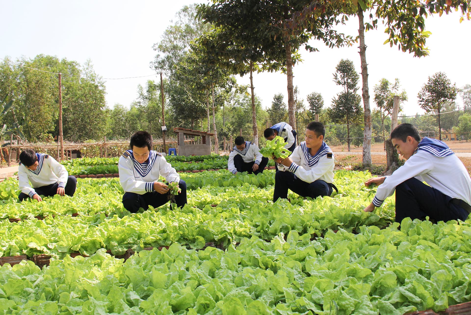 Căn cứ không khói thuốc