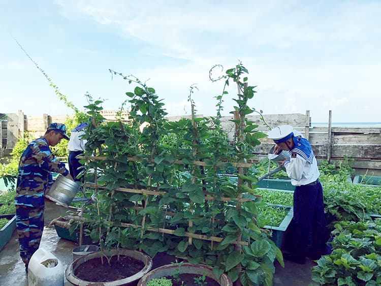 An toàn bữa ăn cho bộ đội