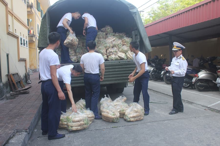 Cục Hậu cần Hải quân chỉ đạo các đơn vị thu mua 8.000 kg củ cải giúp nông dân xã Tráng Việt