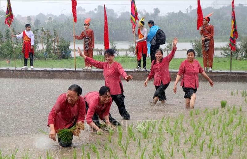 Lễ hội Vua Hùng dạy dân cấy lúa ở Phú Thọ