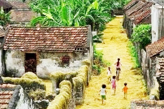 Lấm lem rơm rạ