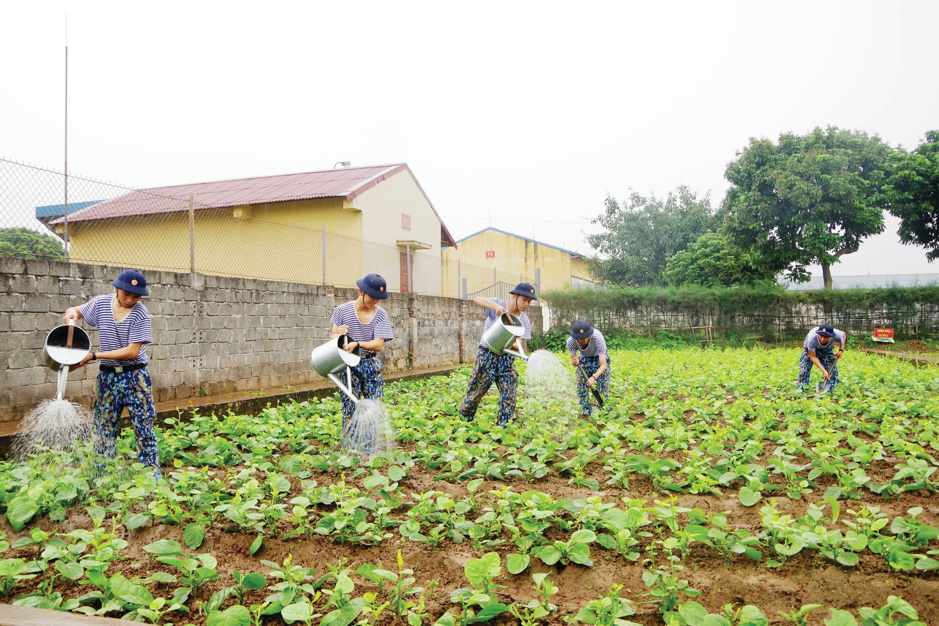 Tăng gia hiệu quả, đời sống bộ đội được nâng cao