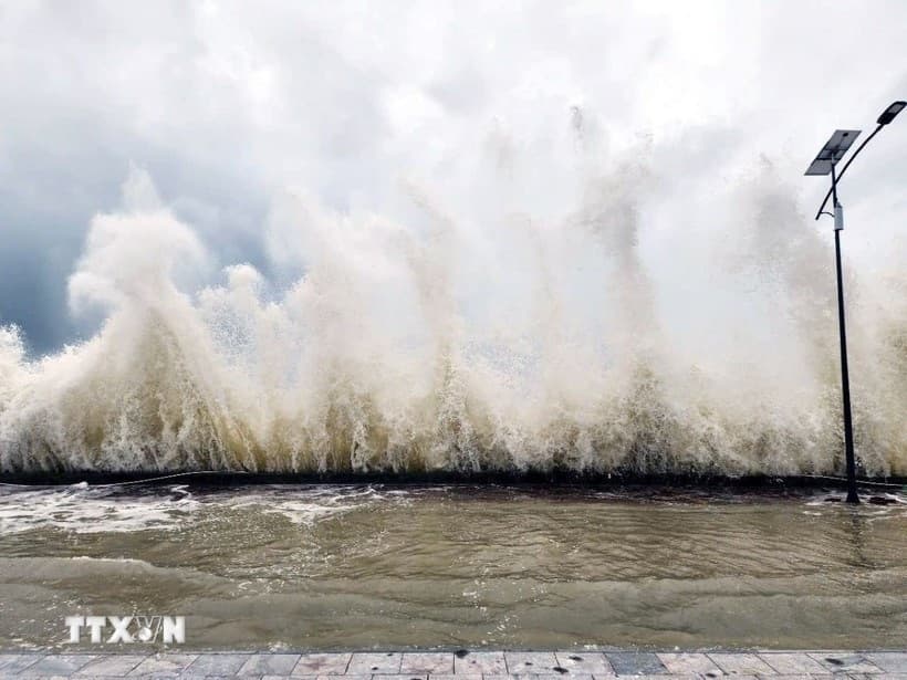 Từ Quảng Ninh đến Đắk Lắk chủ động ứng phó với bão số 8