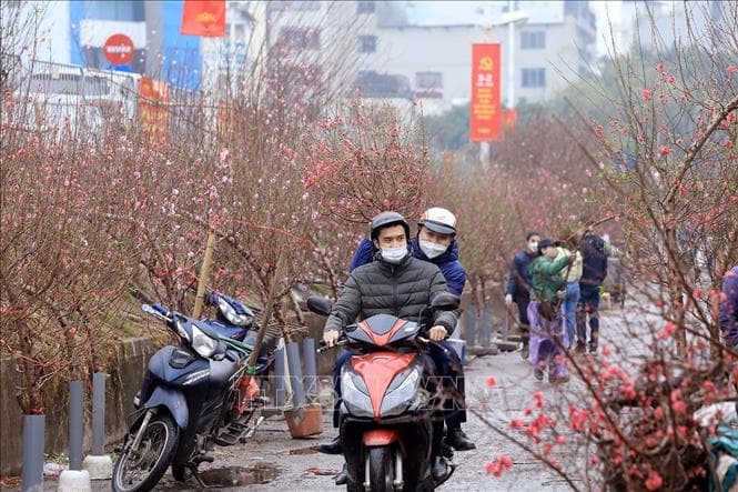 Từ đêm 26/1, Bắc Bộ chuyển rét đậm, vùng núi rét hại