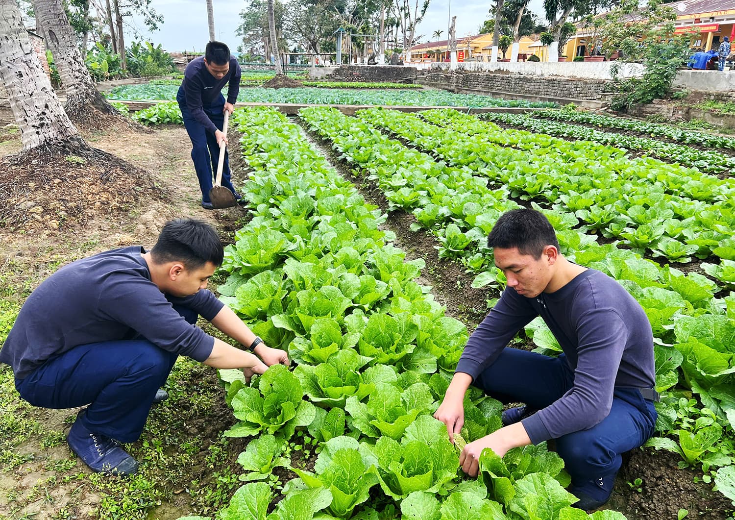 Lữ đoàn 147 sẵn sàng cho mùa huấn luyện chiến sĩ mới