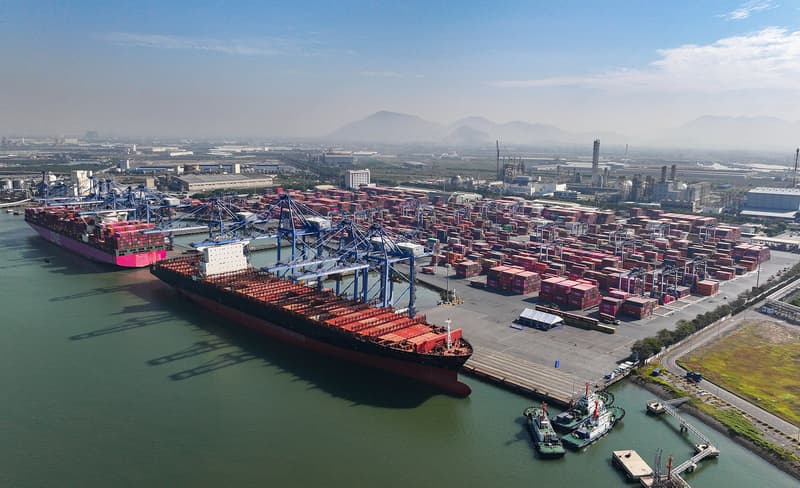 Nỗ lực đưa hãng tàu MSC và ZIM về TCIT