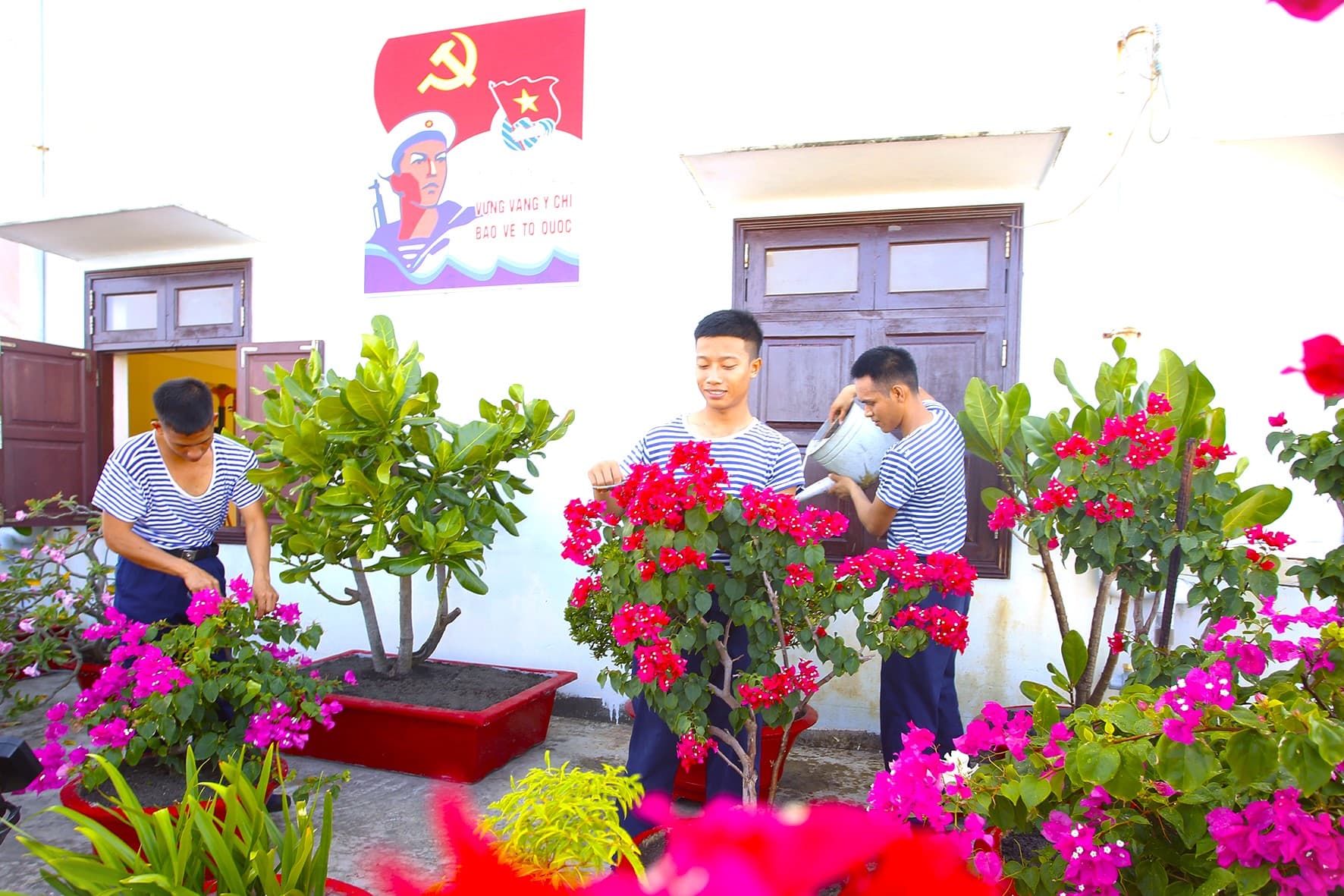 Không gian xanh trên đảo Đá Thị