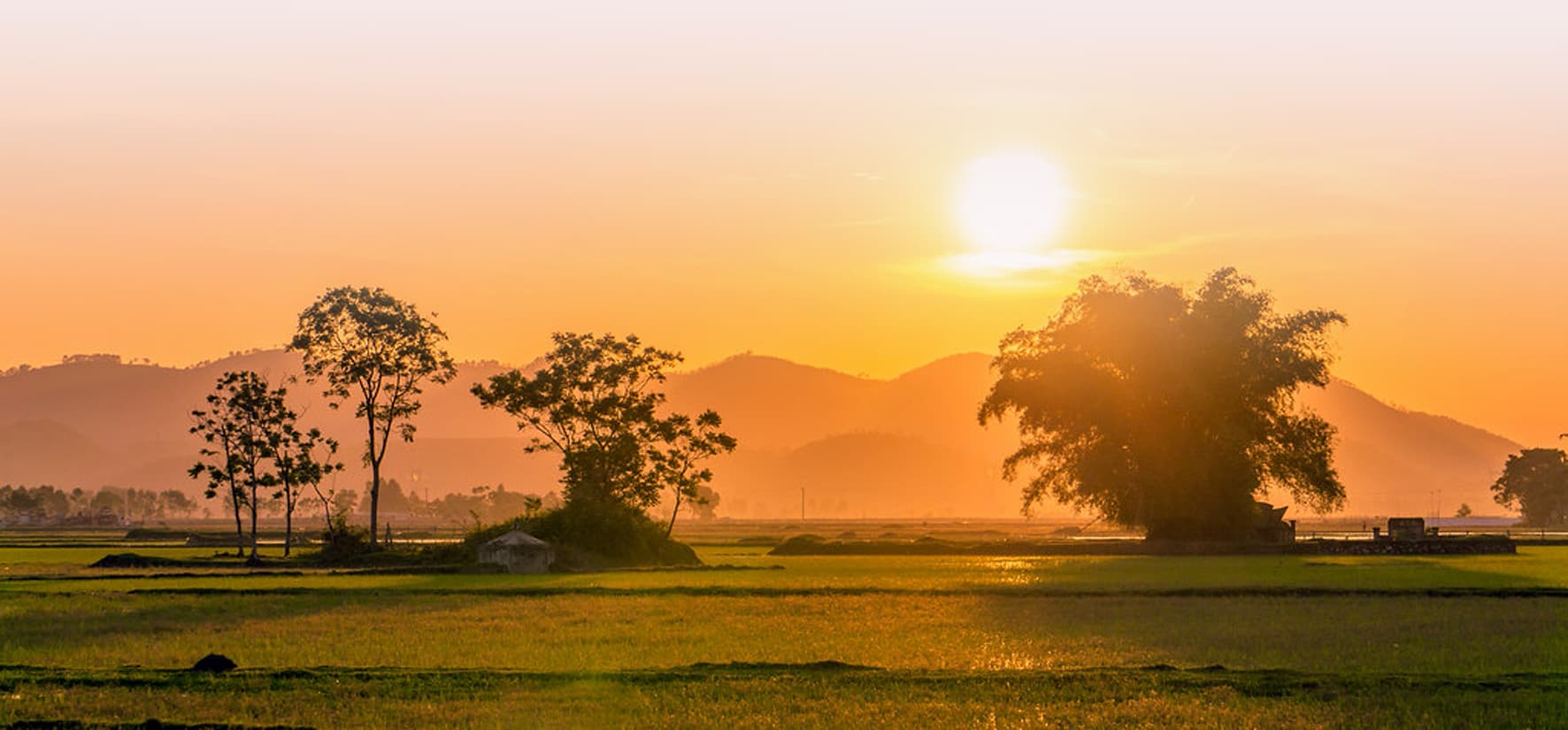 Chiều đồng quê...