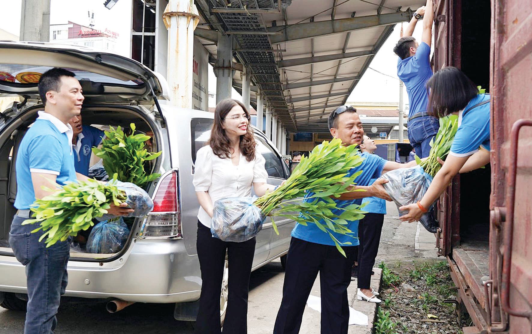 Để Trường Sa thêm xanh