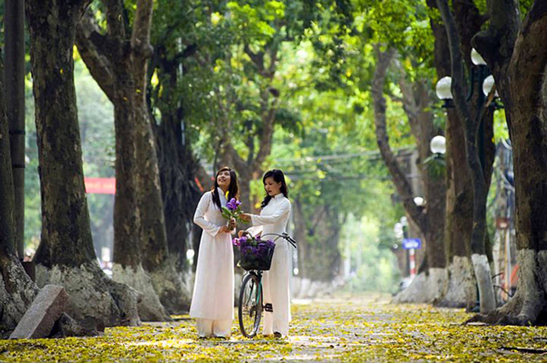 Sắc thu dịu dàng