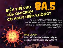 Phần lớn các ca nhiễm Covid-19 là biến thể phụ BA.5