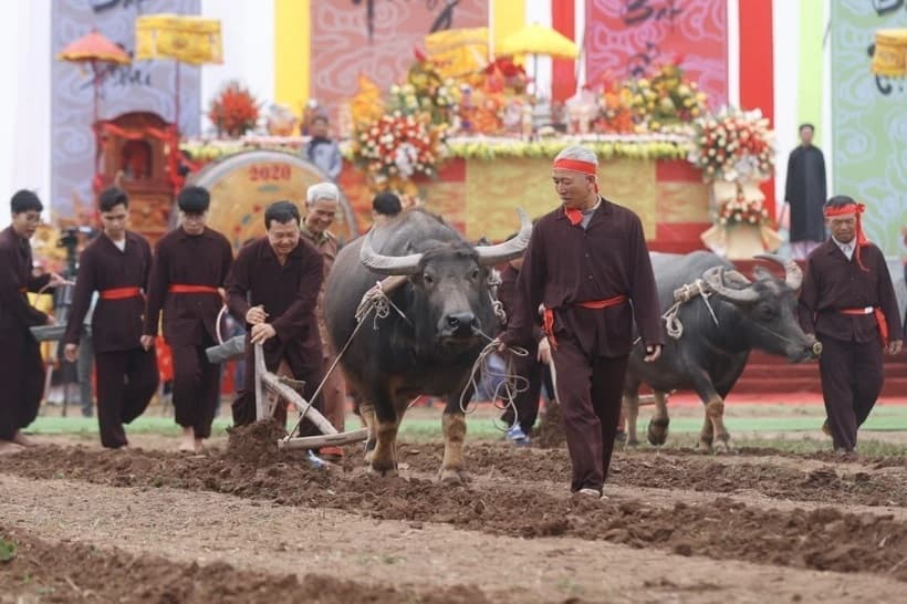 Lễ hội Tịch điền Đọi Sơn: Cầu mong mưa thuận gió hòa, mùa màng tươi tốt