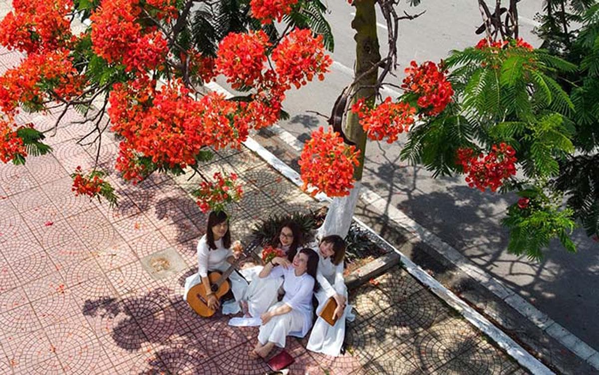 Tháng sáu về