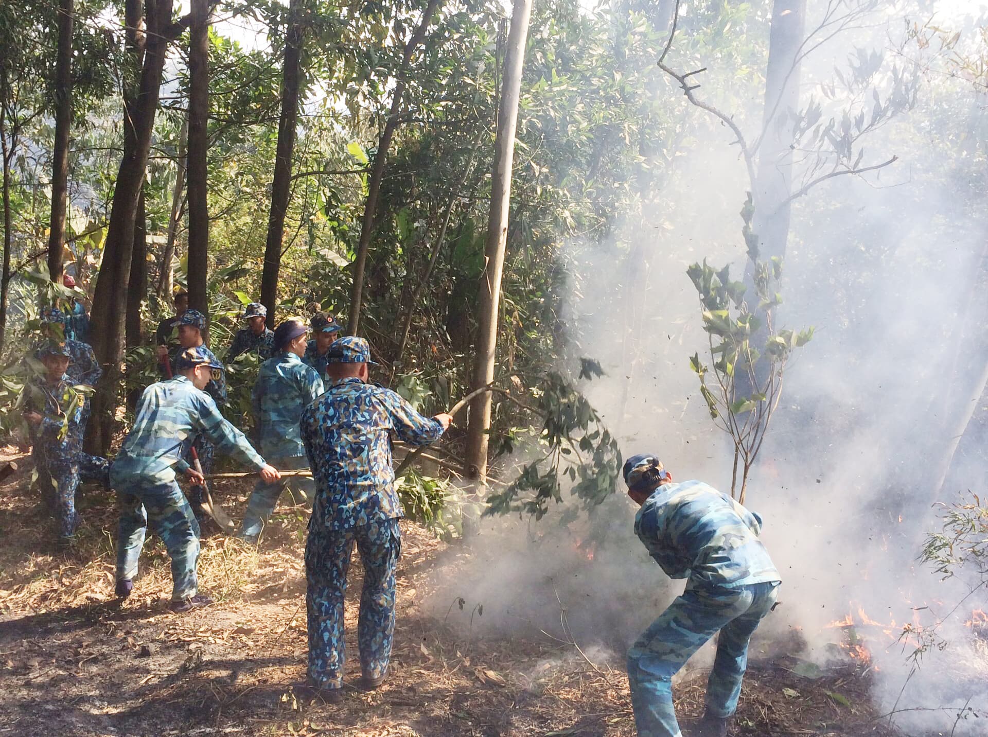 50 cán bộ, chiến sĩ Lữ đoàn 170 tham gia chữa cháy rừng tại Hạ Long