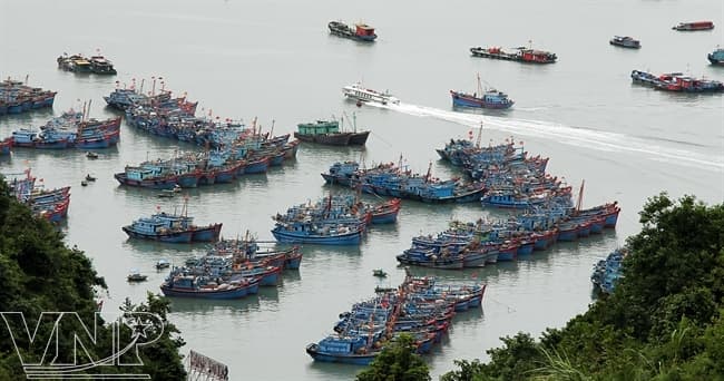 Khám phá làng chài cổ nhất Việt Nam