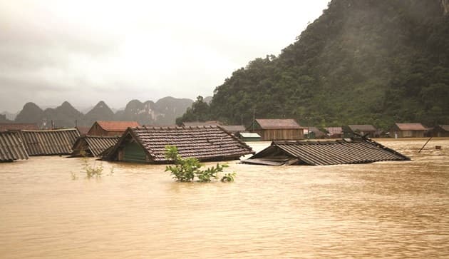 Thương lắm, miền Trung...
