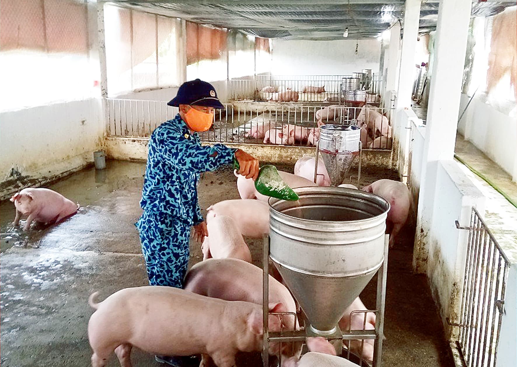 Chủ động tăng gia sản xuất phục vụ Tết Nguyên đán và tiếp nhận chiến sĩ mới