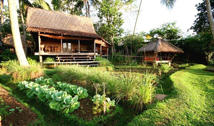 Vại cà muối