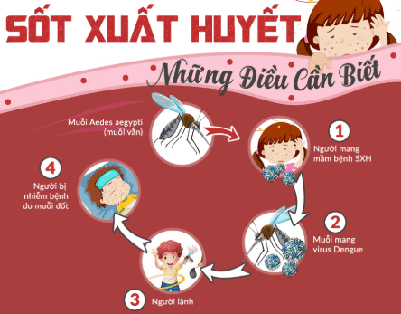 Dịch sốt xuất huyết: Nguyên nhân, triệu chứng và cách phòng bệnh