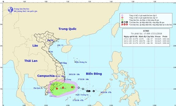 Chủ động ứng phó với bão số 8 và mưa lớn diện rộng