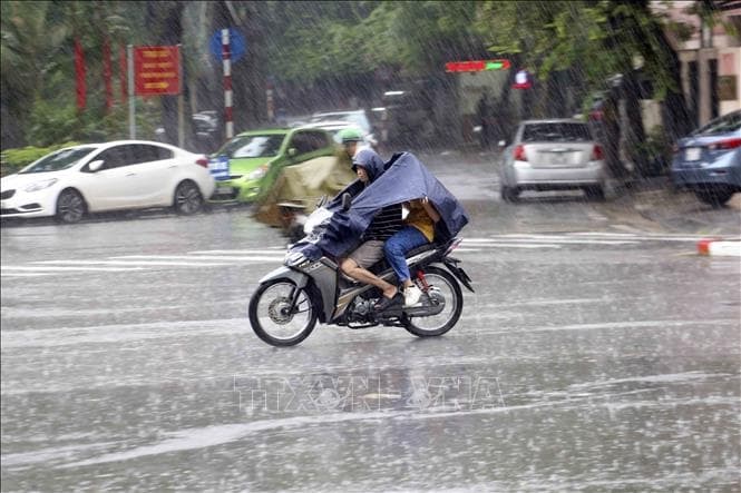 Bão số 11 di chuyển như thế nào?